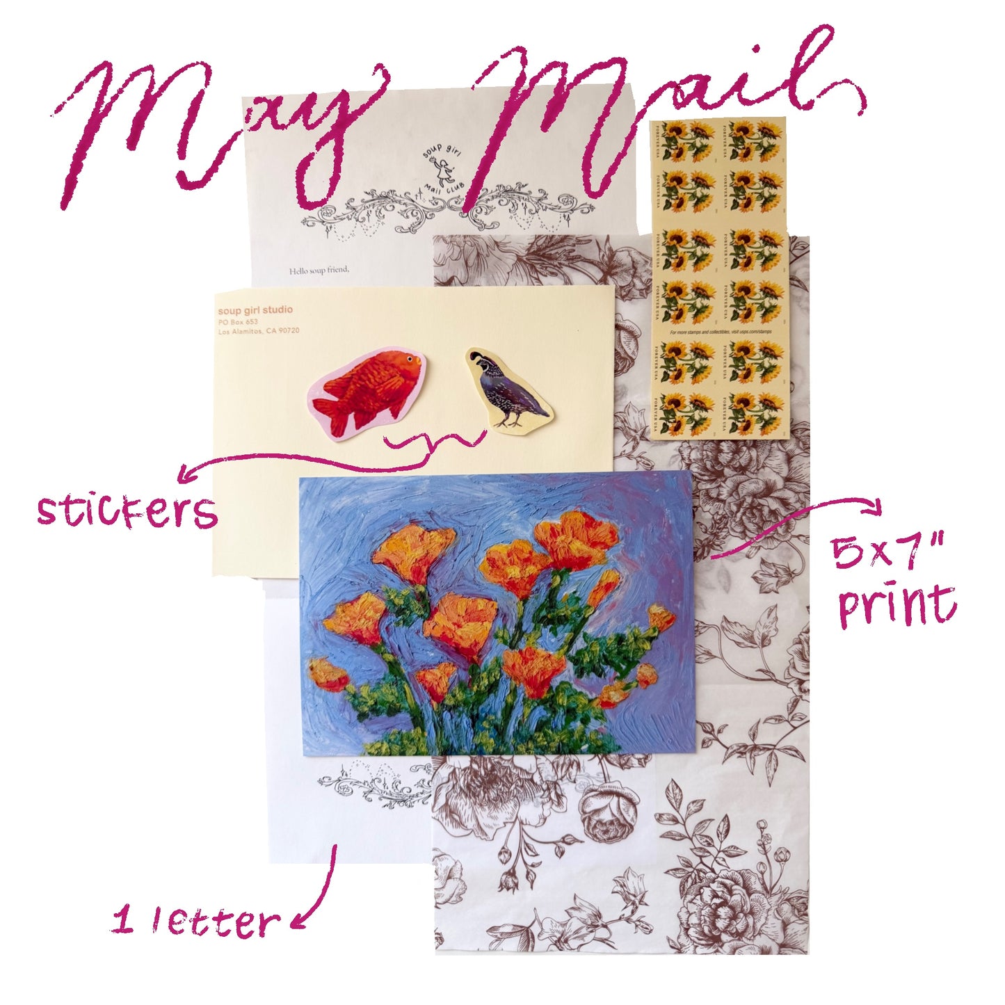 soup girl mail club